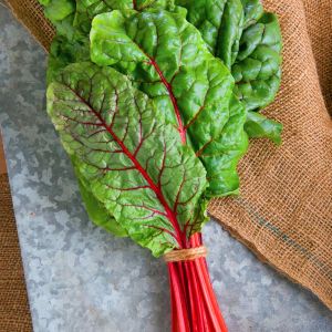 Yakut kırmızı saplı pazı tohumu ruby red chard