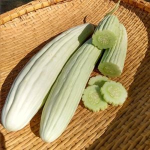 Geleneksel Ermeni acuru tohumu cucumis melo