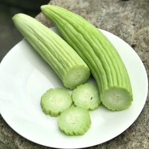 Geleneksel Ermeni acuru tohumu cucumis melo