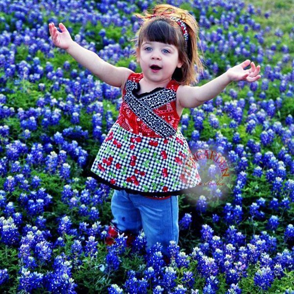 Bodur mavi lupin acıbakla tohumu lupinus texensis texas blue bonnet