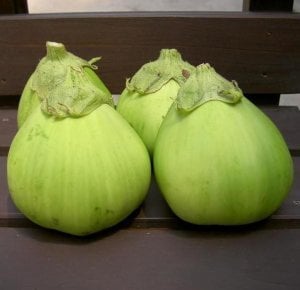 Ao Daimaru patlıcan tohumu Atalık tohum