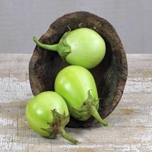 Yeşil elma patlıcan tohumu Atalık tohum