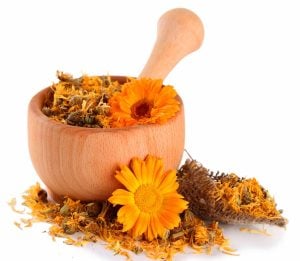 Turuncu aynısafa çiçeği tohumu Genta calendula officinalis