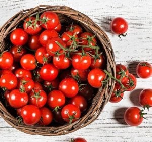 Chadwick cherry çeri domates tohumu geleneksel