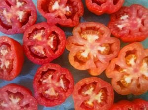 Dolmalık domates tohumu geleneksel red stuffer