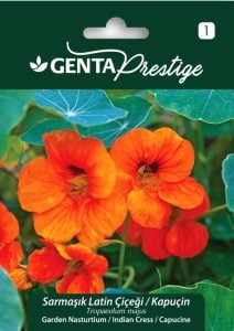 Sarmaşık latin çiçeği tohumu kapuçin Genta nasturtium majus