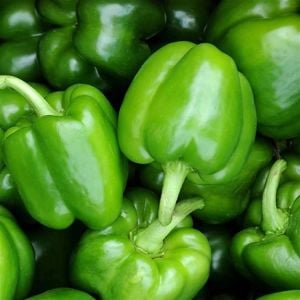 Kandil Dolma biber tohumu yerli tohum