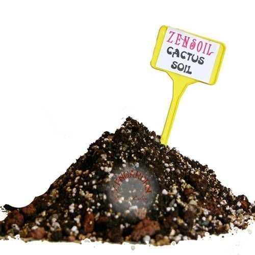 Kaktüs toprağı profesyonel kaktüs lithops ve sukkulent bitkiler için karışım 2 litre