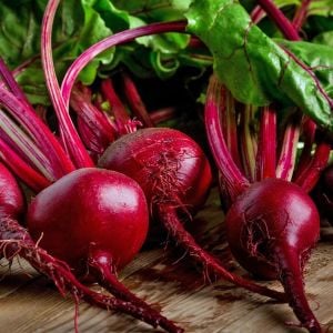 Koyu kırmızı pancar tohumu geleneksel  beet detroit dark red