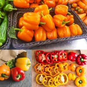 Portakal rengi biber tohumu orange california wonder bell pepper