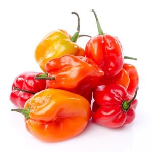 Kırmızı habanero biber tohumu acı