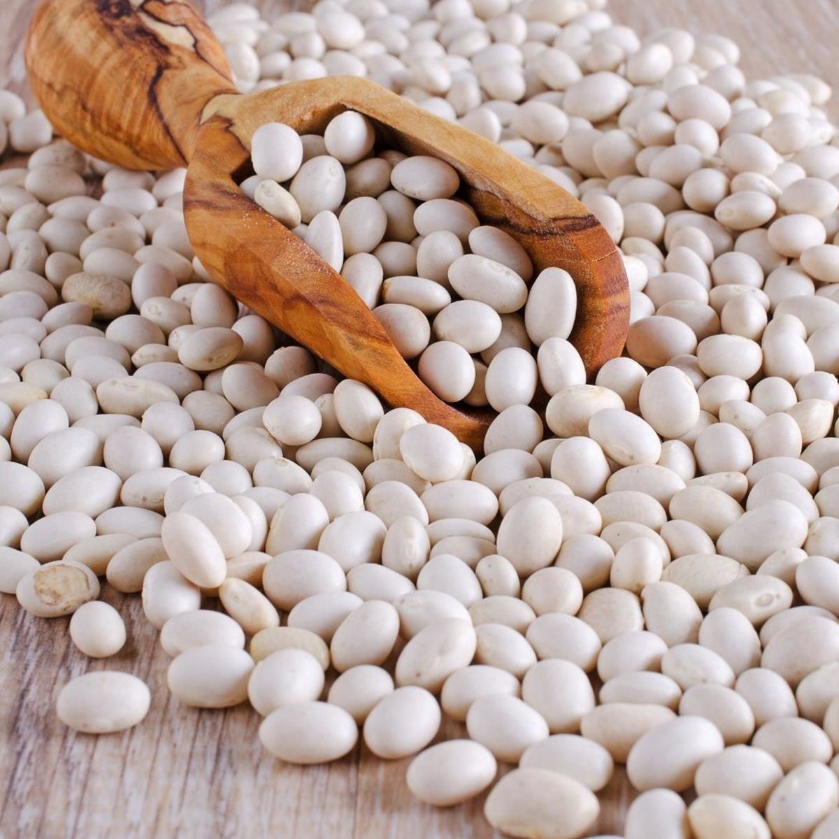 Erzincan şeker fasulyesi tohumu Atalık yerel tohum