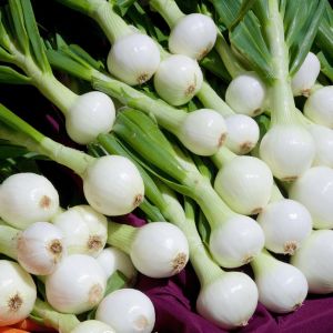 Walla walla soğan tohumu geleneksel