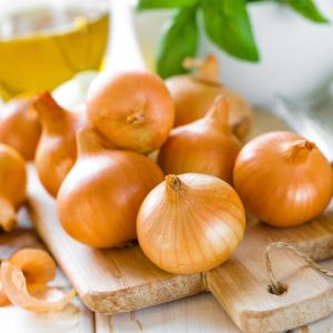 Walla walla soğan tohumu geleneksel