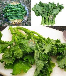 Erkenci brokoli tohumu early fall rapini