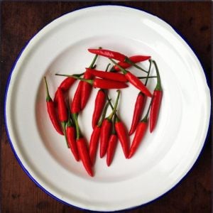 Piri Piri Chili biberi tohumu capsicum baccatum