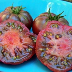 Mor kalabash domates tohumu doğal purple calabash tomato seeds