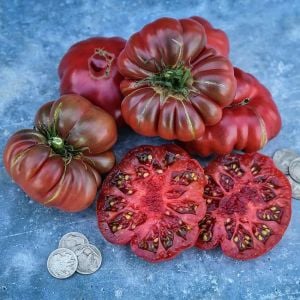 Mor kalabash domates tohumu doğal purple calabash tomato seeds