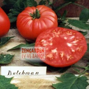 Dutchman domates tohumu 20 adet tohum dutchman tomato