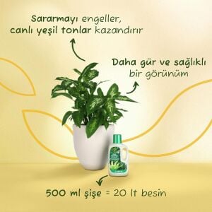 Salon bitkisi sıvı besin gübre 500 ml yeşil yapraklı Genta