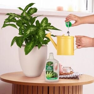 Salon bitkisi sıvı besin gübre 500 ml yeşil yapraklı Genta