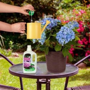 Ortanca ve açelya gübresi 500 ml Genta