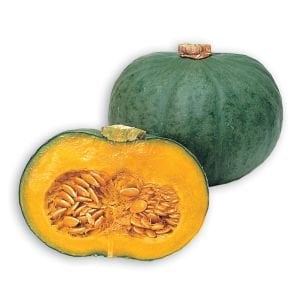 Mavi kuri kışlık kabak tohumu Blue Kuri squash