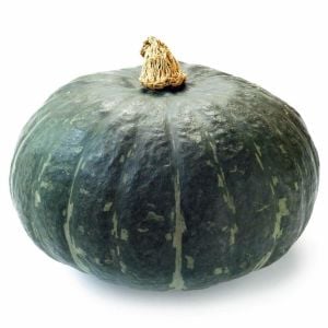 Mavi kuri kışlık kabak tohumu Blue Kuri squash