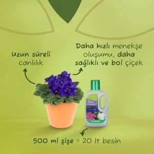 Menekşe gübresi 500 ml Genta afrika menekşesi