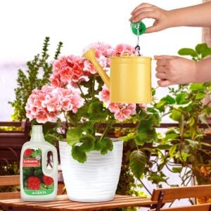 Sardunya gübresi 500 ml Genta