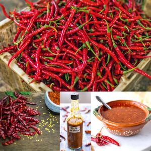 Acı biber tohumu chile de arbol geleneksel