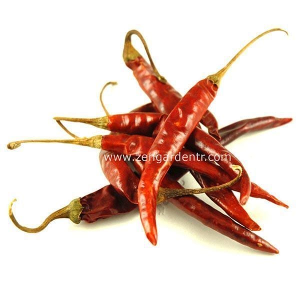 Acı biber tohumu chili de arbol geleneksel