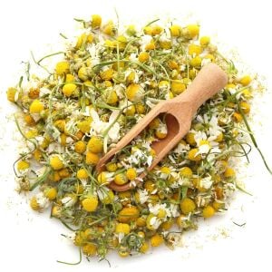 Şifalı alman papatyası tohumu elma kokulu german chamomile matricaria recutita
