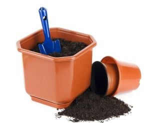 Genel kullanım torfu genta humus katkılı bitki toprağı