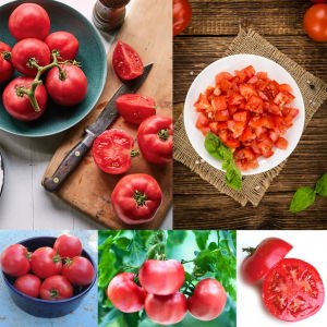 Arkansas traveller domates tohumu gezgin domatesi geleneksel