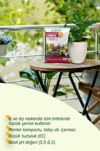Genel kullanım torfu genta humus katkılı bitki toprağı 10 litre