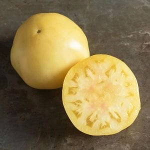 Beyaz domates tohumu great white tomato geleneksel