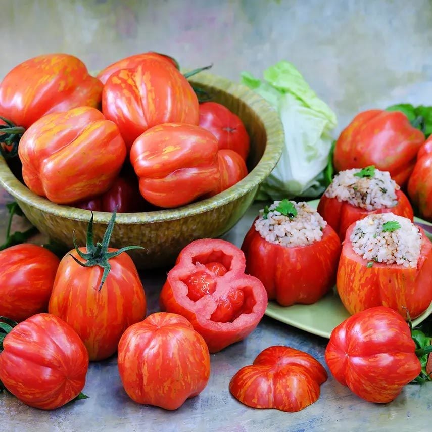 Dolmalık domates tohumu striped cavern tomato geleneksel