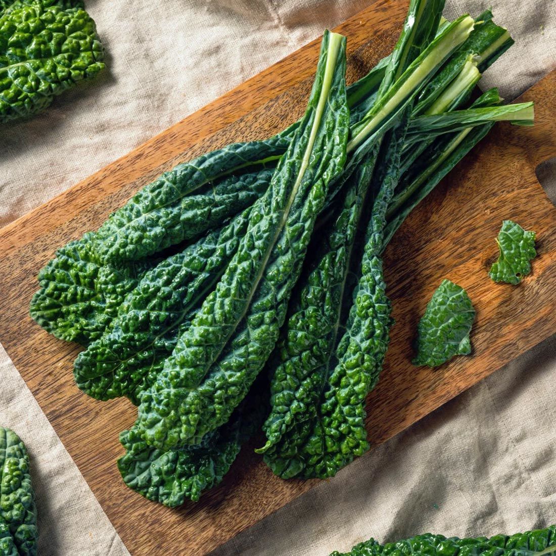Lacitano Kale tohumu kara lahana türü