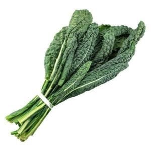 Lacitano Kale tohumu kara lahana türü
