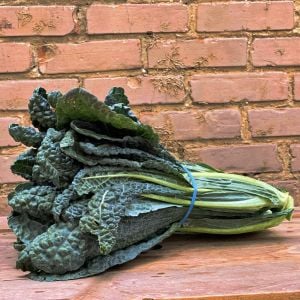 Lacitano Kale tohumu kara lahana türü