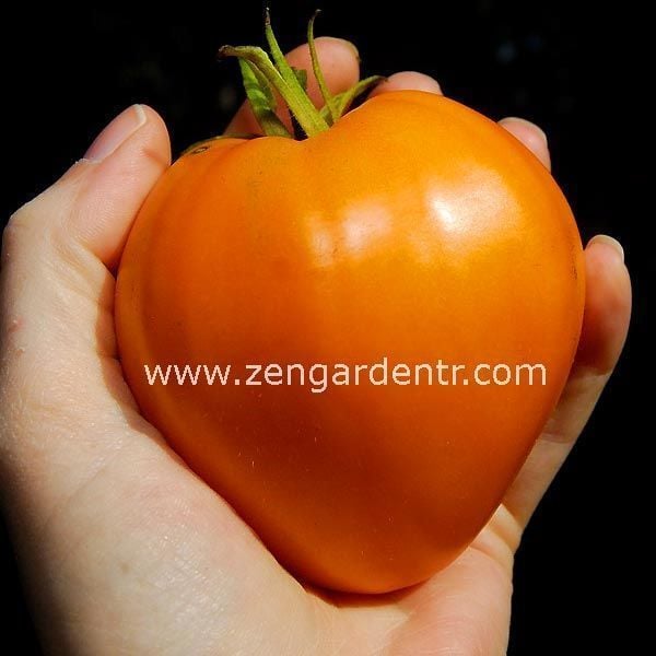 Turuncu çilek domates tohumu german strawberry tomato