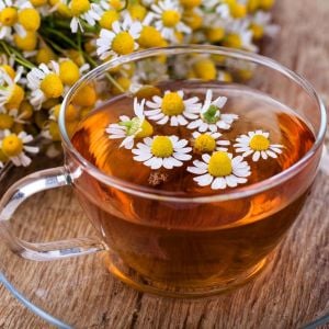 Şifalı rumi papatya tohumu elma kokulu anthemis nobilis