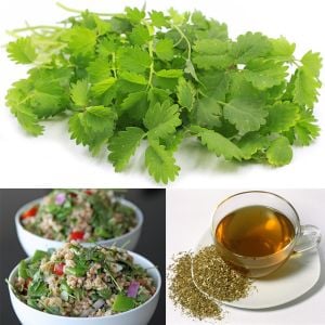 Salad Burnet tohumu salatalık tadında yeşillik sanguisorba minor