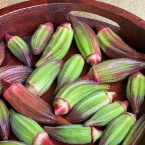 Atalık Kırmızı bamya tohumu hill country red okra