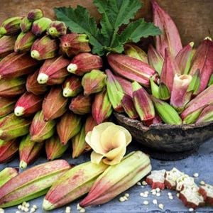 Atalık Kırmızı bamya tohumu hill country red okra