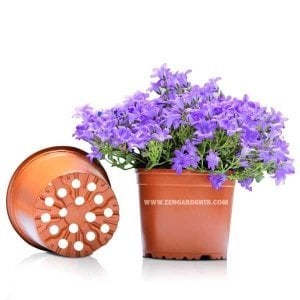 Teku renkli saksı 10.5 cm