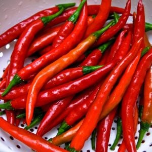 Reçellik acı biber tohumu Atalık Urla biberi peperoncino chilli