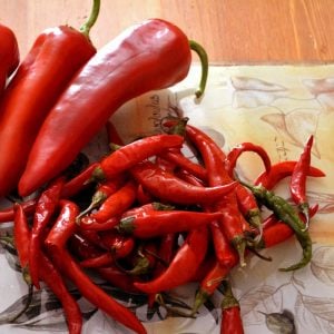 Reçellik acı biber tohumu Atalık Urla biberi peperoncino chilli