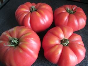 Pembe Ege köy domatesi tohumu atalık söğüşlük çeşit